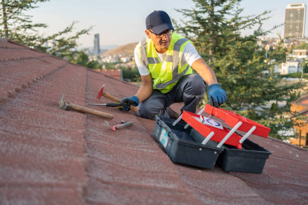 Best Siding Replacement  in Berlin, WI